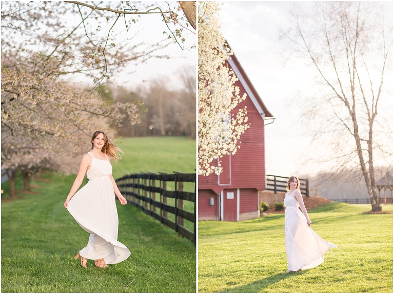 Senior portraits in a white dress on a road lined with cherry blossoms at a barn at sunset, Virginia senior graduation portrait photographer