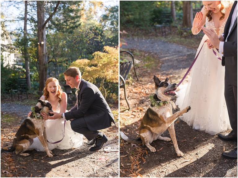 Emma & Dan's The Mill at Fine Creek Richmond autumn wedding with a riverside first look, ceremony in the garden surrounded by fall foliage, and portraits in the fairy light lit abandoned mill at dusk. Wedding dog