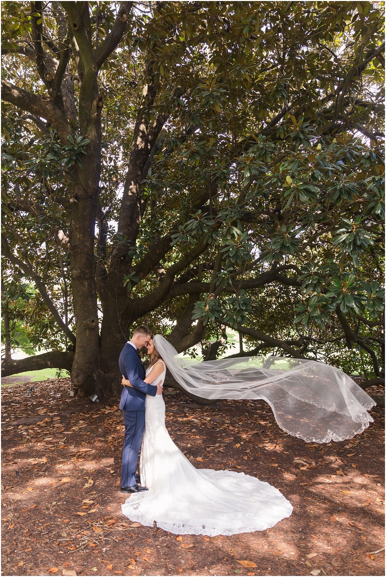 Savanna & Colin's Roanoke wedding with portraits under the magnolia trees at Hotel Roanoke and a reception and newlywed portraits at the Taubman Museum of Art.