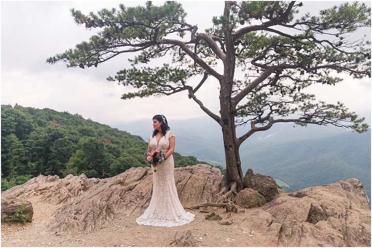 Newlywed portraits at a Blue Ridge Parkway mountain view sunset overlook after their Virginia elopement